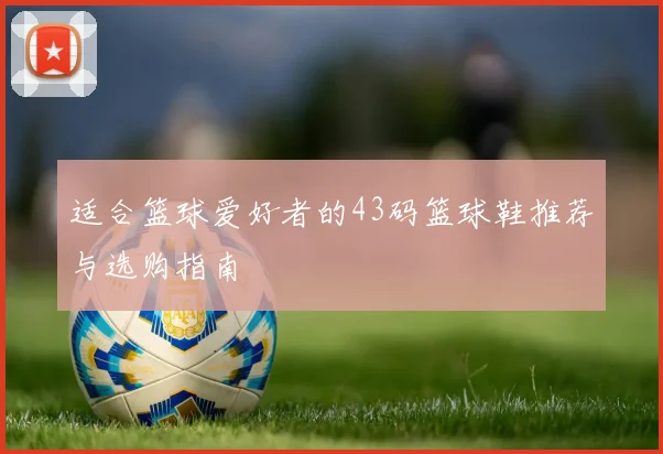 适合篮球爱好者的43码篮球鞋推荐与选购指南